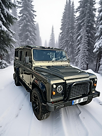 DEFENDER Kapı Camı Takımı 4 Cam 6 parça Kelebekler Dahil